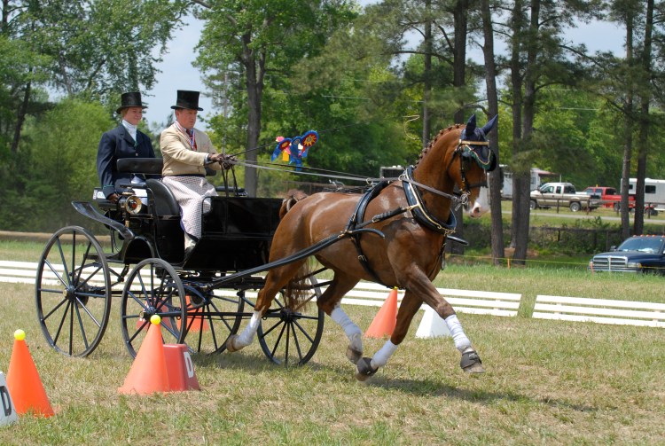 2012 National Single Championship Champion