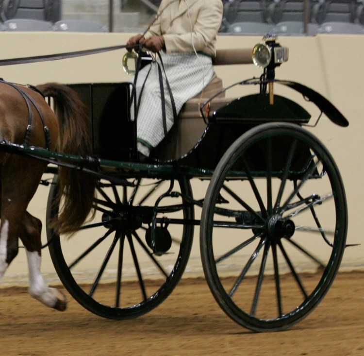 Alexandra Dog Cart for Sale